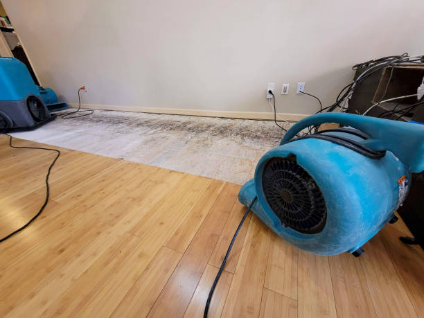 Professional Water Extraction technician working in Glendora, NJ